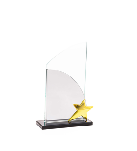 HZ-259 KRİSTAL PLAKET YILDIZLI HZ-259 KRİSTAL PLAKET YILDIZLI